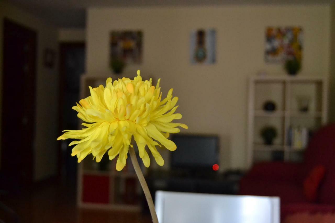Apartamento Turistico Dct. Creus Guadalajara Buitenkant foto